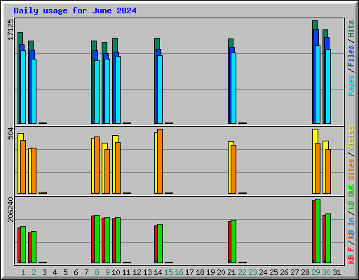 Daily usage for June 2024