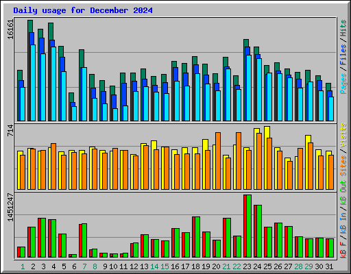 Daily usage for December 2024