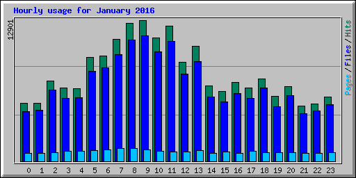 Hourly usage for January 2016