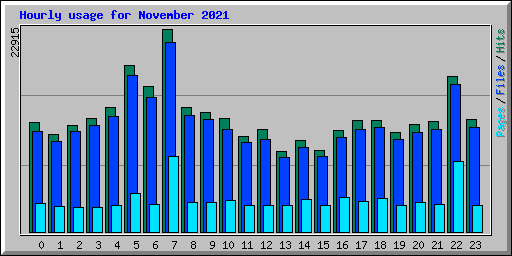 Hourly usage for November 2021