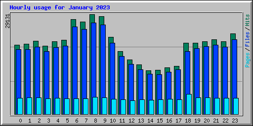 Hourly usage for January 2023