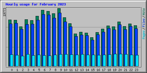 Hourly usage for February 2023