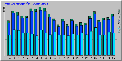 Hourly usage for June 2023