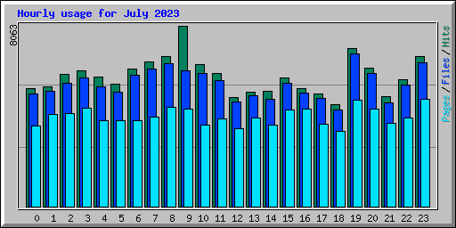 Hourly usage for July 2023