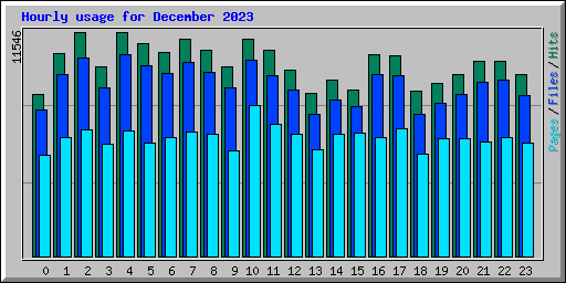 Hourly usage for December 2023