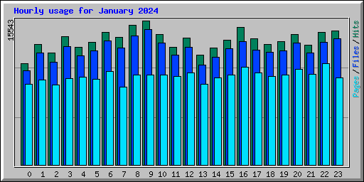 Hourly usage for January 2024