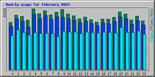 Hourly usage for February 2024