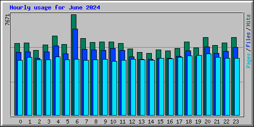 Hourly usage for June 2024