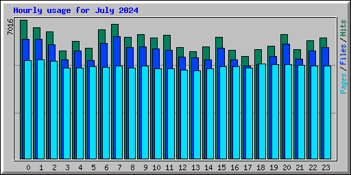 Hourly usage for July 2024