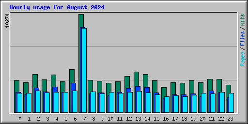 Hourly usage for August 2024