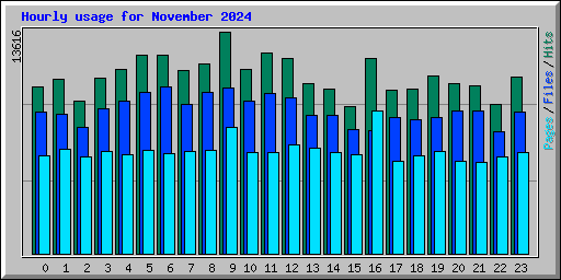 Hourly usage for November 2024