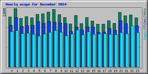 Hourly usage for December 2024