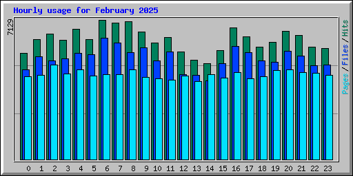 Hourly usage for February 2025