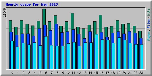 Hourly usage for May 2025