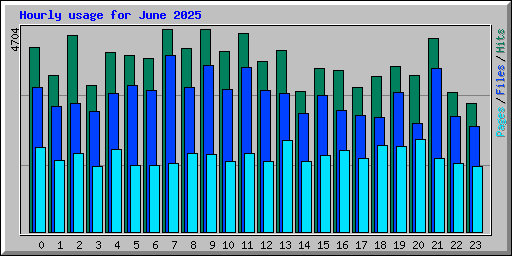 Hourly usage for June 2025