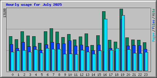 Hourly usage for July 2025