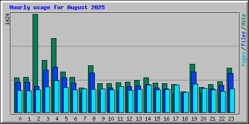 Hourly usage for August 2025