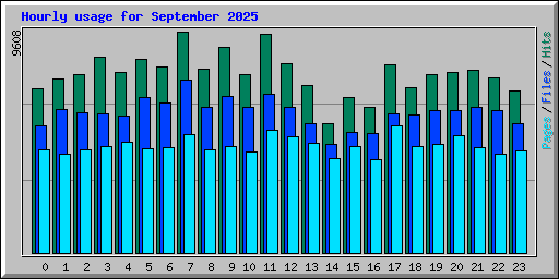 Hourly usage for September 2025