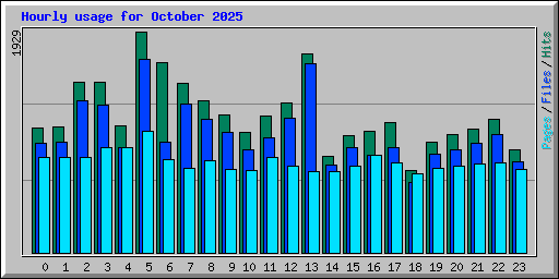 Hourly usage for October 2025