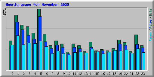 Hourly usage for November 2025