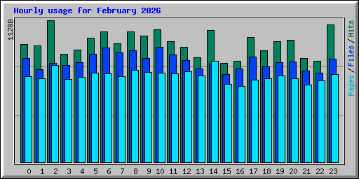 Hourly usage for February 2026