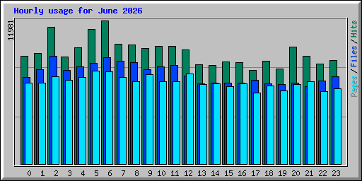 Hourly usage for June 2026